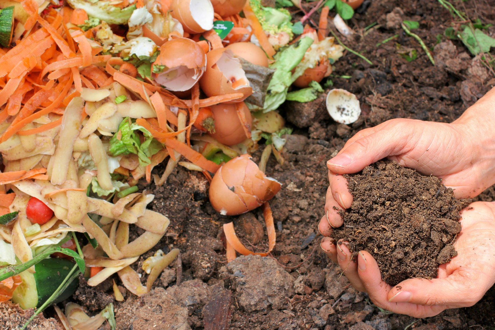 Can you put Palm Leaf Plates and Tableware in your Compost?