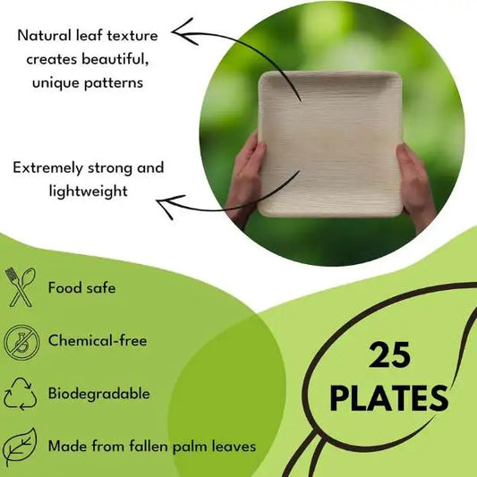 Plam Leaves Square Plates chart