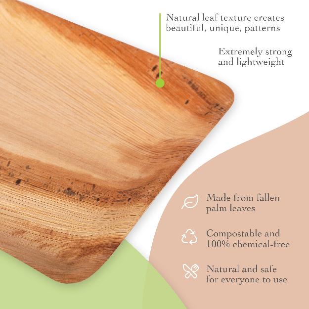 9x6" Eco-Friendly Palm Leaf Plates img 1